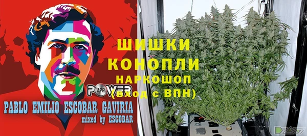 бошки Заводоуковск